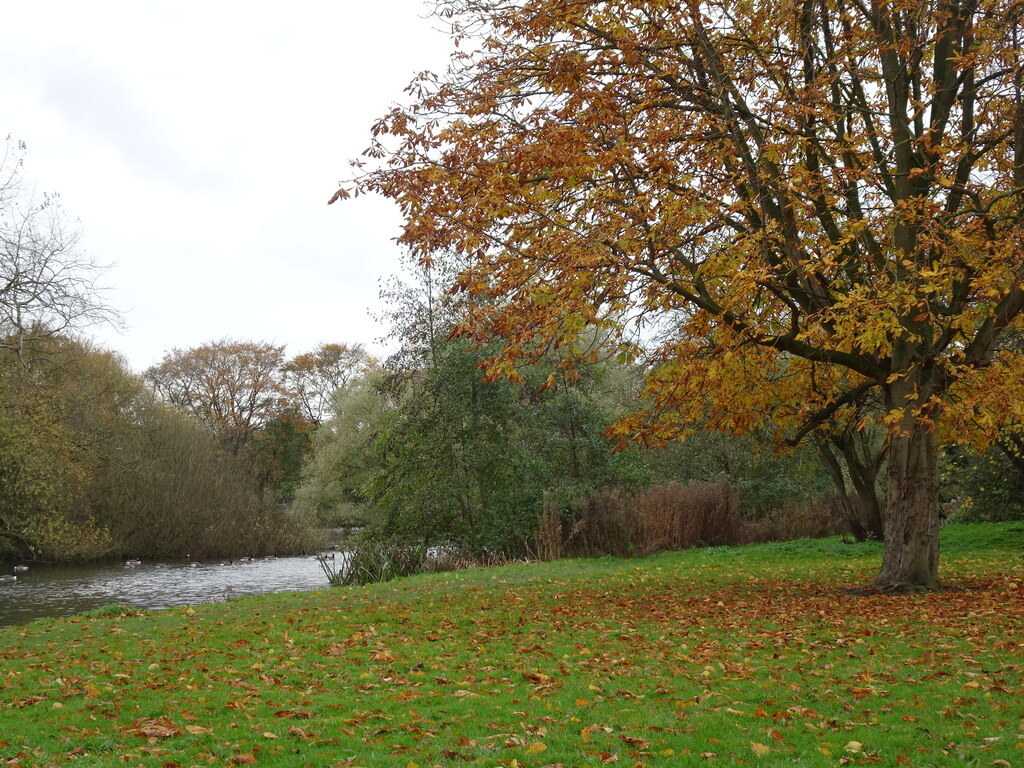 East Park, Holderness Road, Kingston... © Bernard Sharp cc-by-sa/2.0 ...