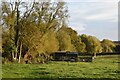 Sunlit field near Minstead Village Hall