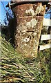 Benchmark on gatepost at gateway on south side of A596 west of Aspatria