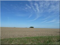 TL3062 : A lone tree on the horizon above prairie farmland, near Elsworth by David Smith
