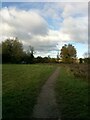 Pathway access to Staveley Nature Reserve