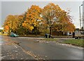 Autumn colour - Hawley Lane