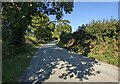 The road near Yerbeston Farm