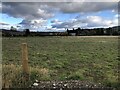 Field on the edge of Comrie