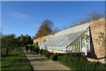 SE5158 : Greenhouse in the walled garden by DS Pugh