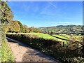 The road above Trewyn