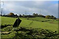 Following a Footpath towards Upper Cote Farm