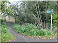 Footpath to Bramble Grove, Wighay