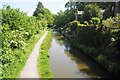 Peak Forest Canal below Ridge End