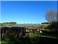 View from Pett Road