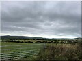 Grazing land near Llanfyrnach