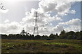 Pylon, Halling Common