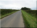 Grass verged and hedge-lined road between Sunwick and Winfield