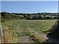 A grassy field near Canaston Wood