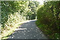 Bridleway to Pekes Farm