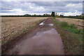 Bridleway to Forest Road