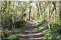 Bridleway, Larkey Valley Wood