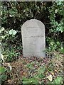 Old Milestone by UC road (was A432), on old course of road, back of verge, in the hedge, by no.17 Badminton Road