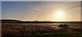 TM3957 : Sunrise over the reedbeds, Snape by Christopher Hilton