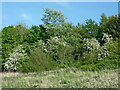 Smestow Valley Local Nature Reserve in Wolverhampton