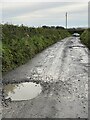 Potholes in farm track