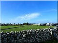 Camping field at Sarnfaen farm