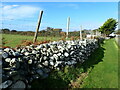 Dry stone wall at Dalar Farm