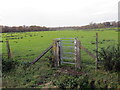 Llwybr Hirwaun / Hirwaun path