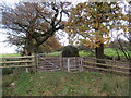 Llwybr Hirwaun / Hirwaun path