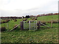 Llwybr Hirwaun / Hirwaun path