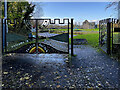 H2684 : Entrance Derg Castle Park by Kenneth  Allen
