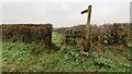 NY1640 : Squeeze stile for footpath to Bothel from minor road southeast of Fitz by Roger Templeman