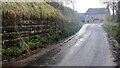 Road SE of Aspatria approaching East Mill Farm