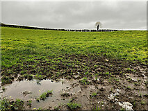 H4372 : Muddy ground, Mullaghmenagh Upper by Kenneth  Allen