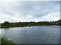 SJ8954 : Knypersley dam by Stephen Craven