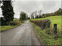 H4372 : Aghnamoyle Road, Mullaghmenagh Upper by Kenneth  Allen