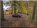 Woodland car park at Nesscliffe