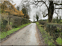 H4569 : Shanley Road, Lissan by Kenneth  Allen