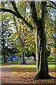 West Park perimeter path, Wolverhampton