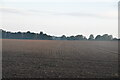 Ploughed field