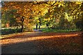 SE2754 : Autumn walk in Harlow Carr by Bill Boaden