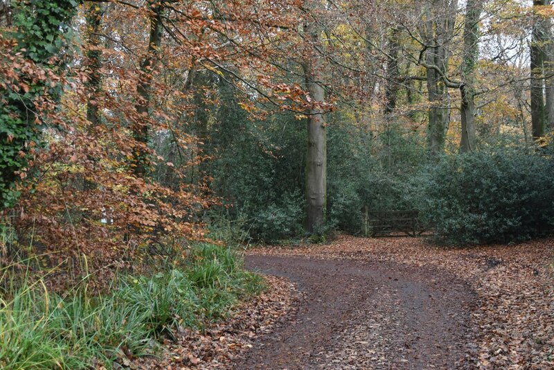 Service road beside the A3090 © David Martin ccbysa/2.0 Geograph