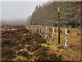 NO0060 : Fence between forest and moorland above Pitlochry by wrobison