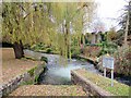 SU4828 : Mill race on the River Itchen, Winchester by Roy Hughes