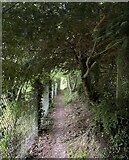 SU5750 : Path behind Kings Orchard by Mr Ignavy