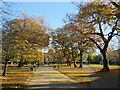 SZ0391 : Autumn colour on Ashley Cross Green, Lower Parkstone by Malc McDonald
