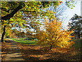 SZ0491 : Autumn colour in Alexandra Park, Parkstone, Poole by Malc McDonald