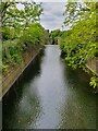 TQ1573 : River Crane, Twickenham by Richard Rogerson