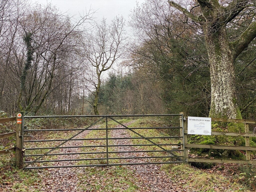 Access to Pendrainllwyn forestry © Alan Hughes cc-by-sa/2.0 :: Geograph ...