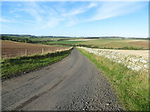 NT8164 : Wall and fence enclosed minor road between Brockholes and the A6112 road by Peter Wood